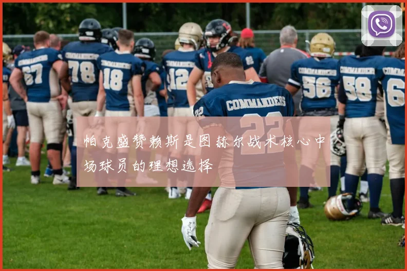 帕克盛赞赖斯是图赫尔战术核心中场球员的理想选择