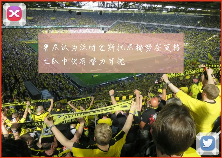 鲁尼认为沃特金斯托尼梅努在英格兰队中仍有潜力可挖